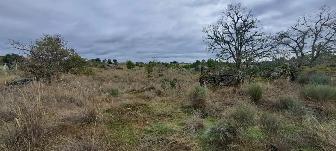 Terreno Agricola ou Rústico para Venda em Sendim e Atenor Foto 4