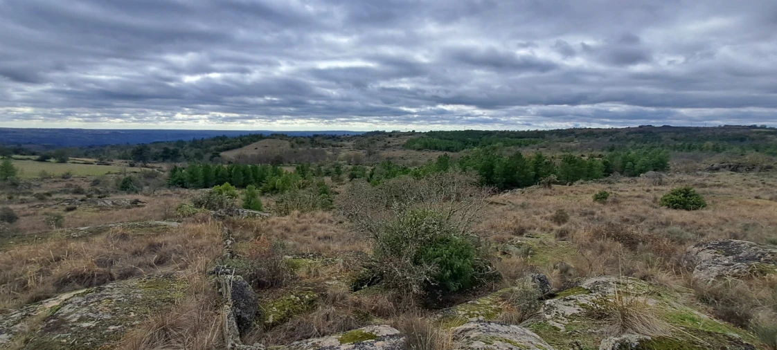 Terreno Agricola ou Rústico para Venda em Sendim e Atenor Foto 13