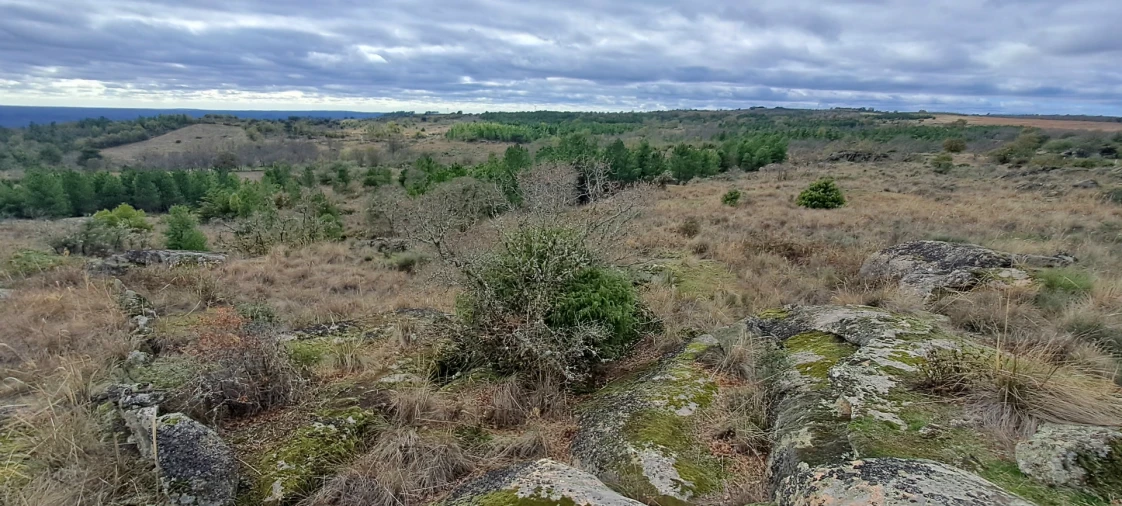 Terreno Agricola ou Rústico para Venda em Sendim e Atenor Foto 15