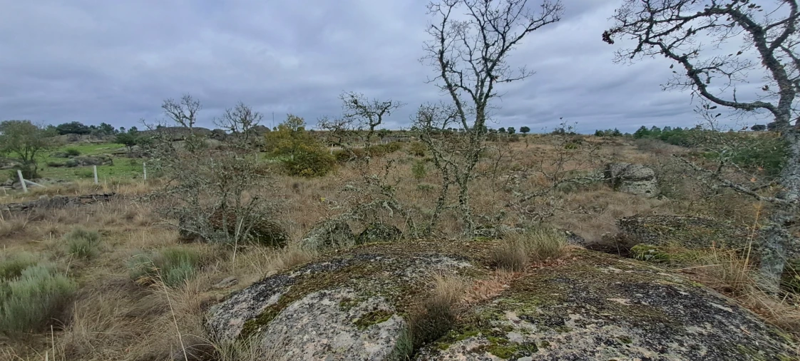 Terreno Agricola ou Rústico para Venda em Sendim e Atenor Foto 6