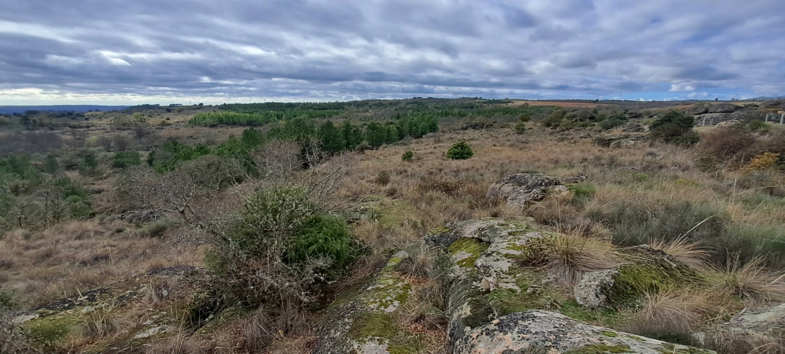 Terreno Agricola ou Rústico para Venda em Sendim e Atenor Foto 16