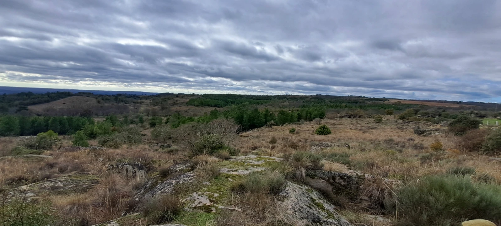 Terreno Agricola ou Rústico para Venda em Sendim e Atenor Foto 10