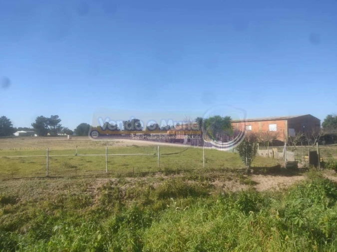 Terreno para Venda em Salvaterra de Magos e Foros de Salvaterra Foto 6