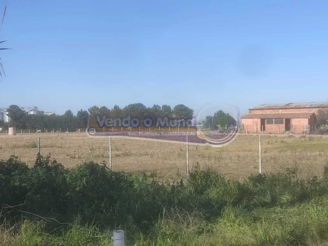 Terreno para Venda em Salvaterra de Magos e Foros de Salvaterra Foto 5