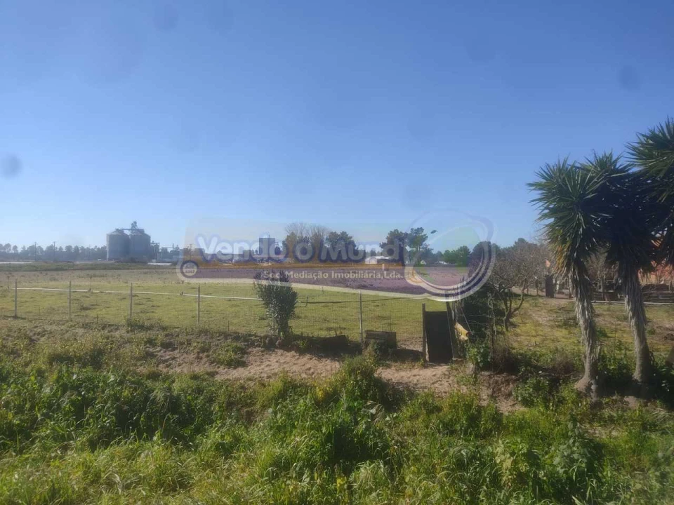 Terreno para Venda em Salvaterra de Magos e Foros de Salvaterra Foto 3