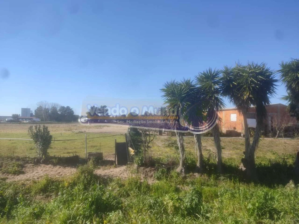 Terreno para Venda em Salvaterra de Magos e Foros de Salvaterra Foto 2