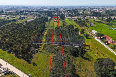 Moradia T3 para Venda em Marinhais