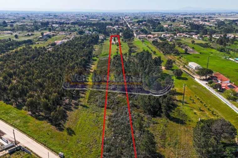 Moradia T3 para Venda em Marinhais Foto 2