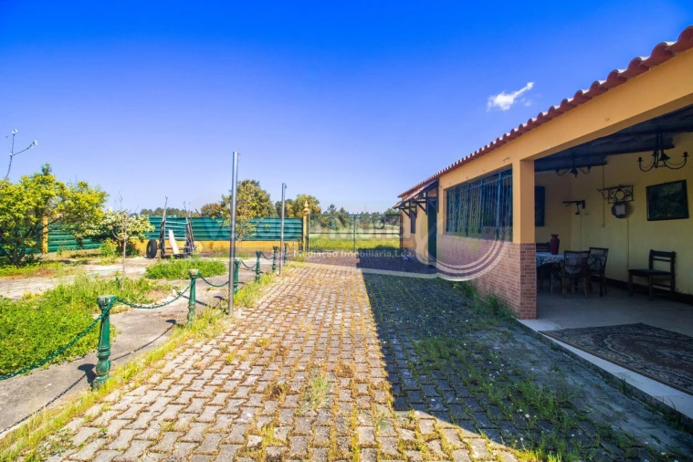 Moradia T3 para Venda em Marinhais Foto 13