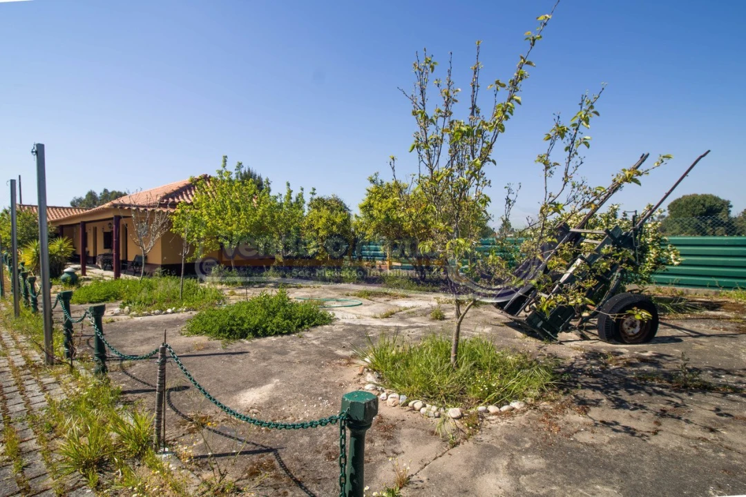 Moradia T3 para Venda em Marinhais Foto 16