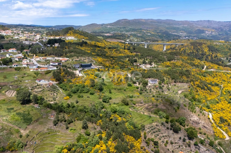 Terreno para Venda em Torgueda Foto 31