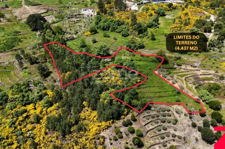 Terreno para Venda em Torgueda Foto 5