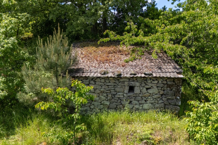 Terreno para Venda em Torgueda Foto 13