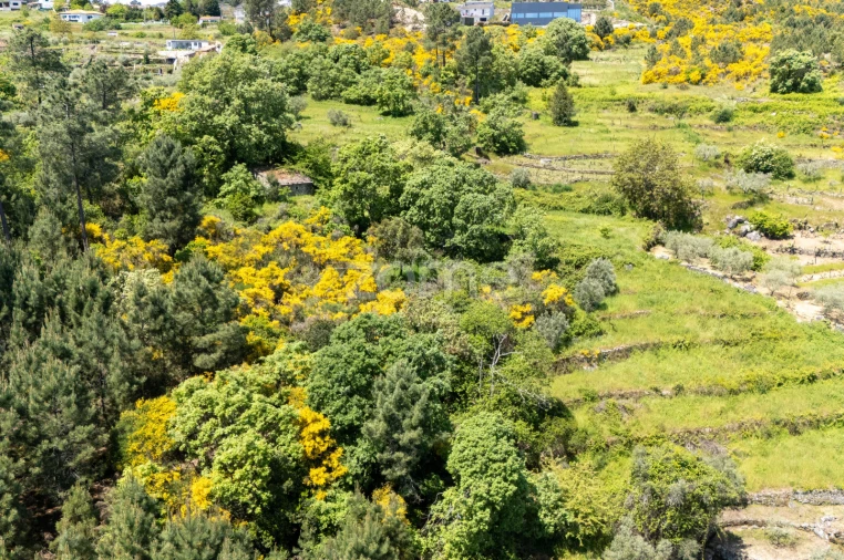 Terreno para Venda em Torgueda Foto 20