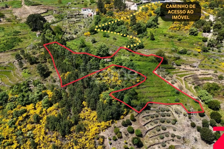 Terreno para Venda em Torgueda Foto 6