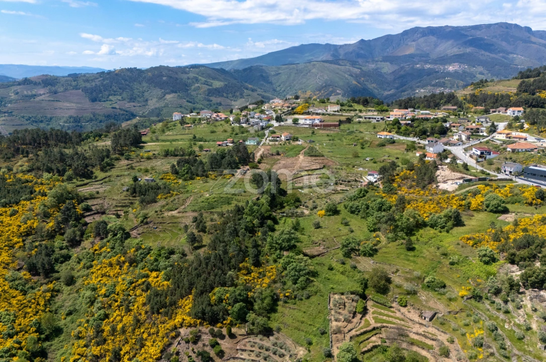Terreno para Venda em Torgueda Foto 10