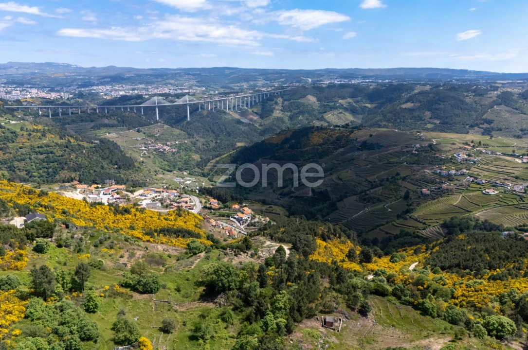 Terreno para Venda em Torgueda Foto 2
