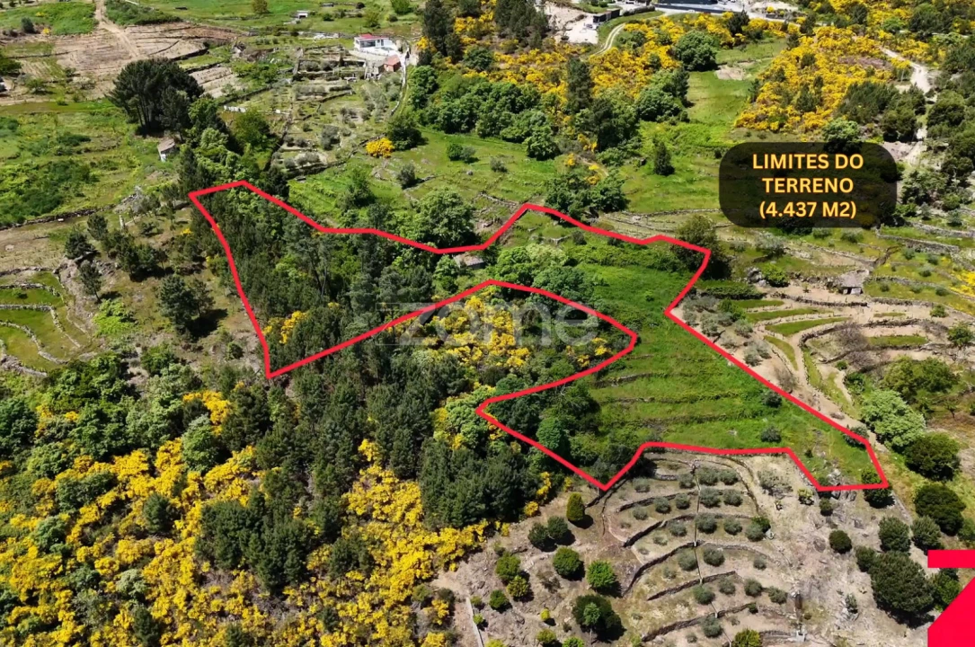 Terreno para Venda em Torgueda Foto 5