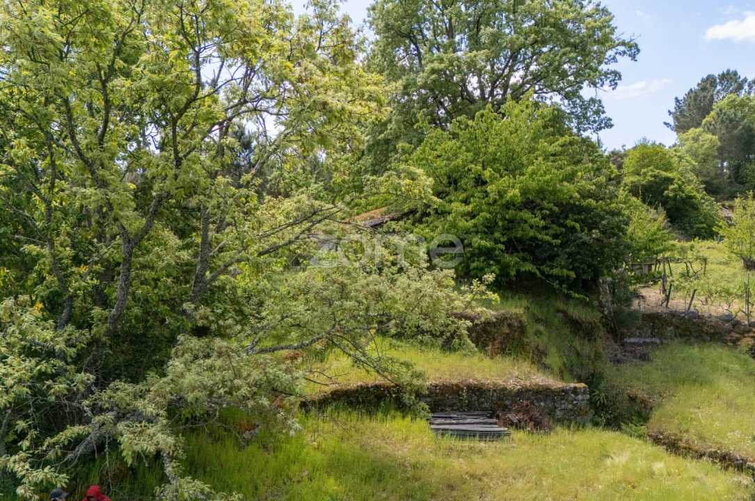 Terreno para Venda em Torgueda Foto 18
