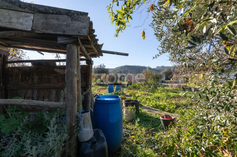 Moradia T2 para Venda em São Miguel, Santa Eufémia e Rabaçal Foto 29