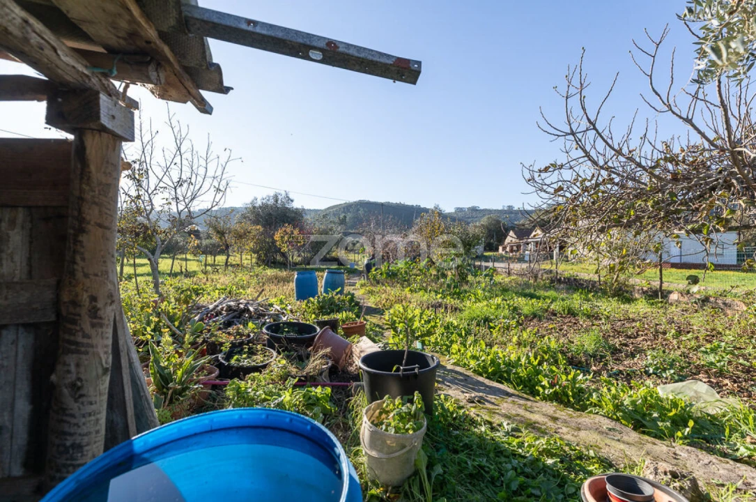 Moradia T2 para Venda em São Miguel, Santa Eufémia e Rabaçal Foto 30