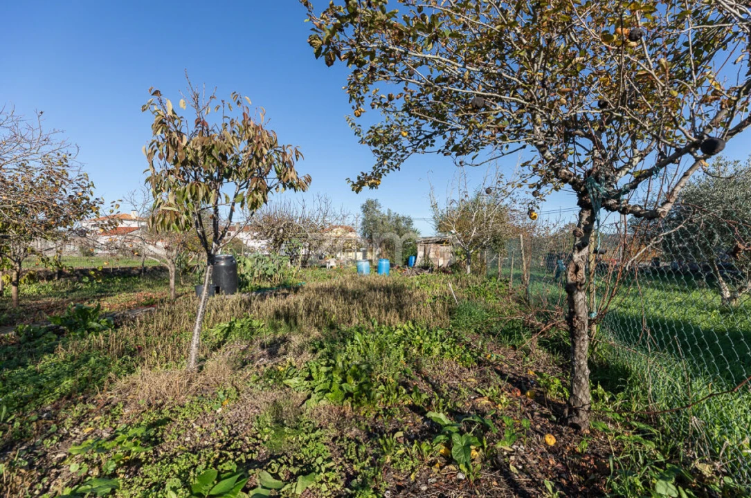Moradia T2 para Venda em São Miguel, Santa Eufémia e Rabaçal Foto 32