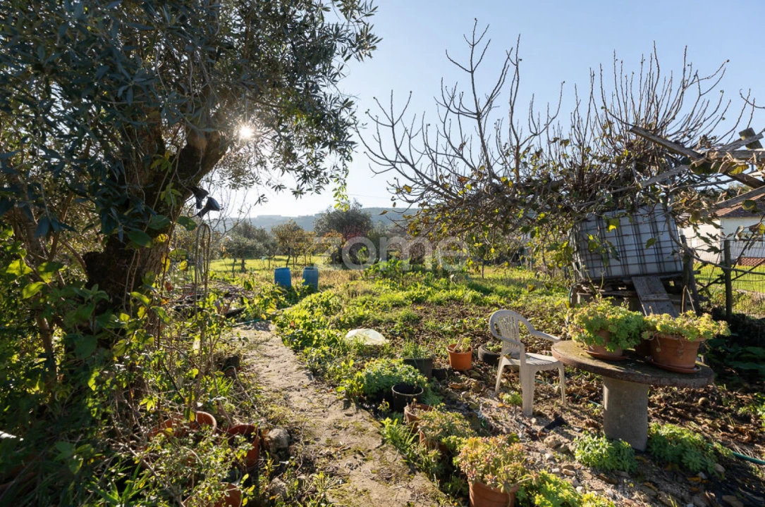 Moradia T2 para Venda em São Miguel, Santa Eufémia e Rabaçal Foto 33