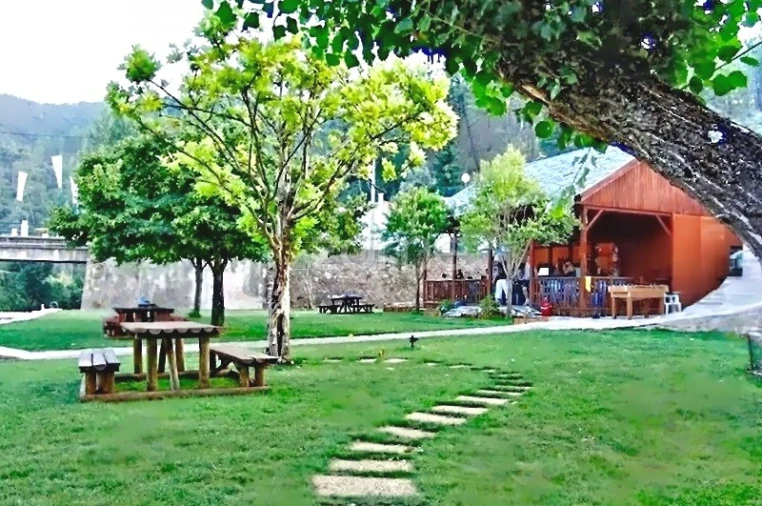 Moradia T3 para Venda em Pessegueiro Foto 8