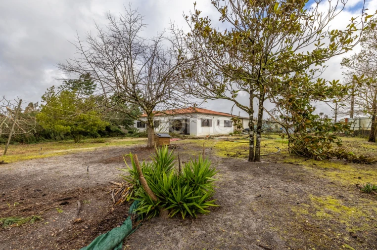 Moradia T2 para Venda em Moita Foto 16