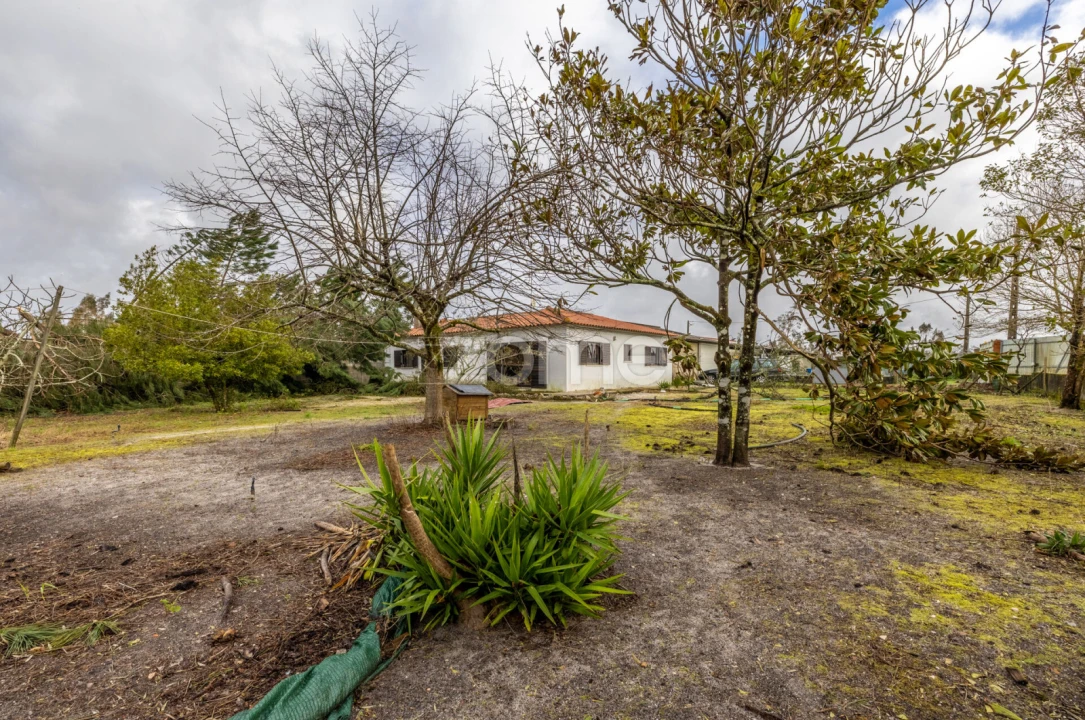 Moradia T2 para Venda em Moita Foto 16