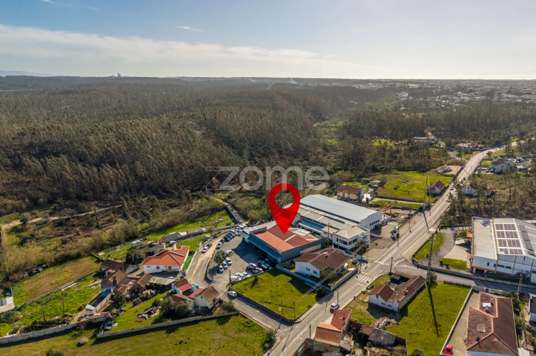 Terreno Comércio / Armazém para Venda em Marinha Grande Foto 19
