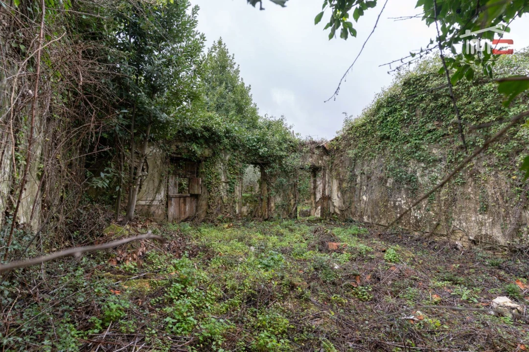 Moradia T2 para Venda em São Mamede Foto 3