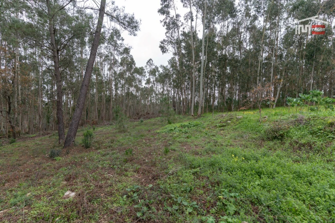 Moradia T2 para Venda em São Mamede Foto 8