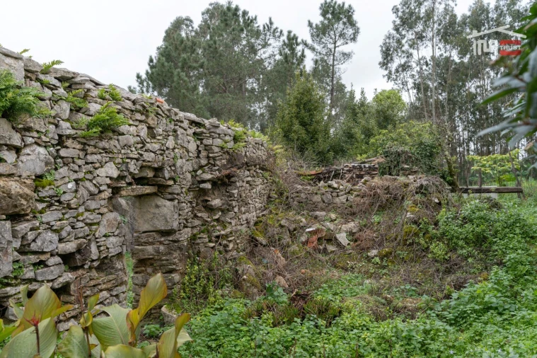Moradia T2 para Venda em São Mamede Foto 5