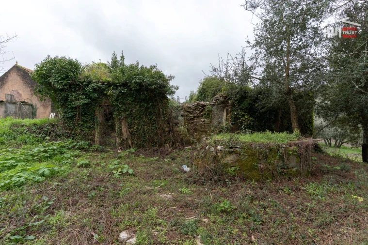 Moradia T2 para Venda em São Mamede Foto 18