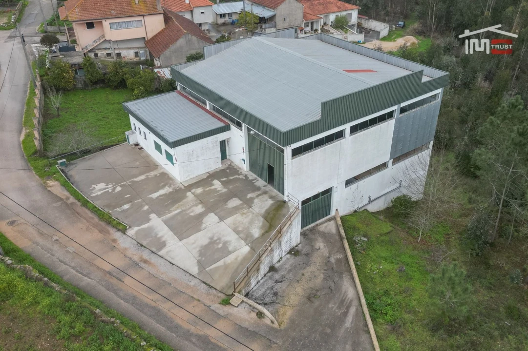 Negócio para Venda em São Mamede Foto 24