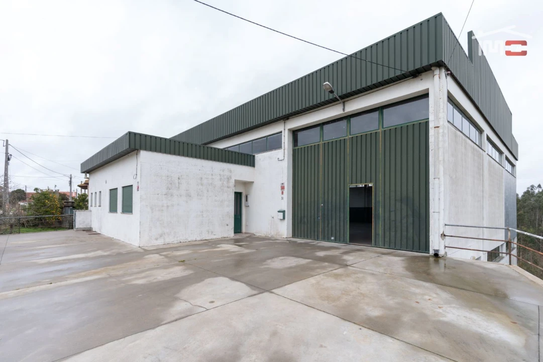 Negócio para Venda em São Mamede Foto 13