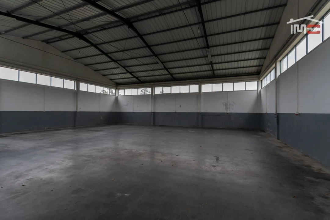 Negócio para Venda em São Mamede Foto 9