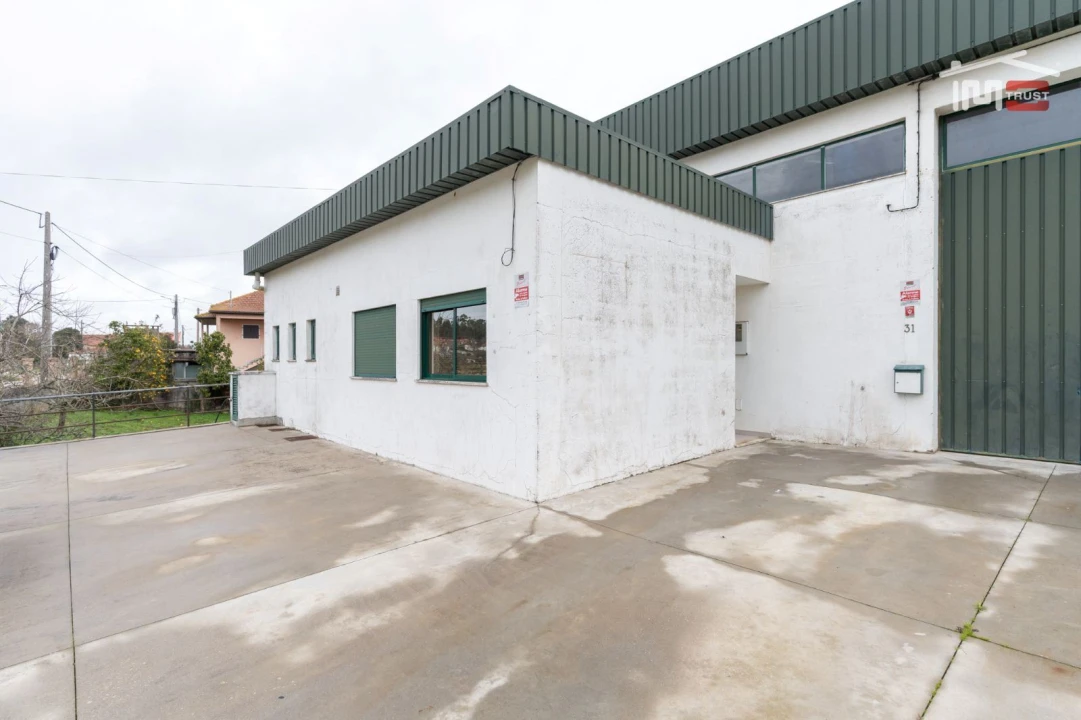 Negócio para Venda em São Mamede Foto 7