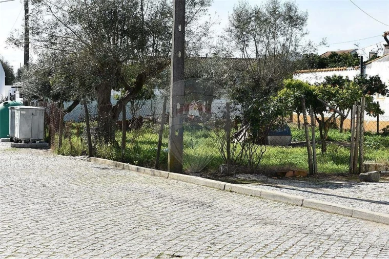 Moradia T1 para Venda em Benavila e Valongo Foto 3