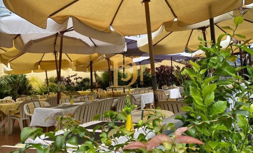 Loja para Venda em São Martinho Foto 2