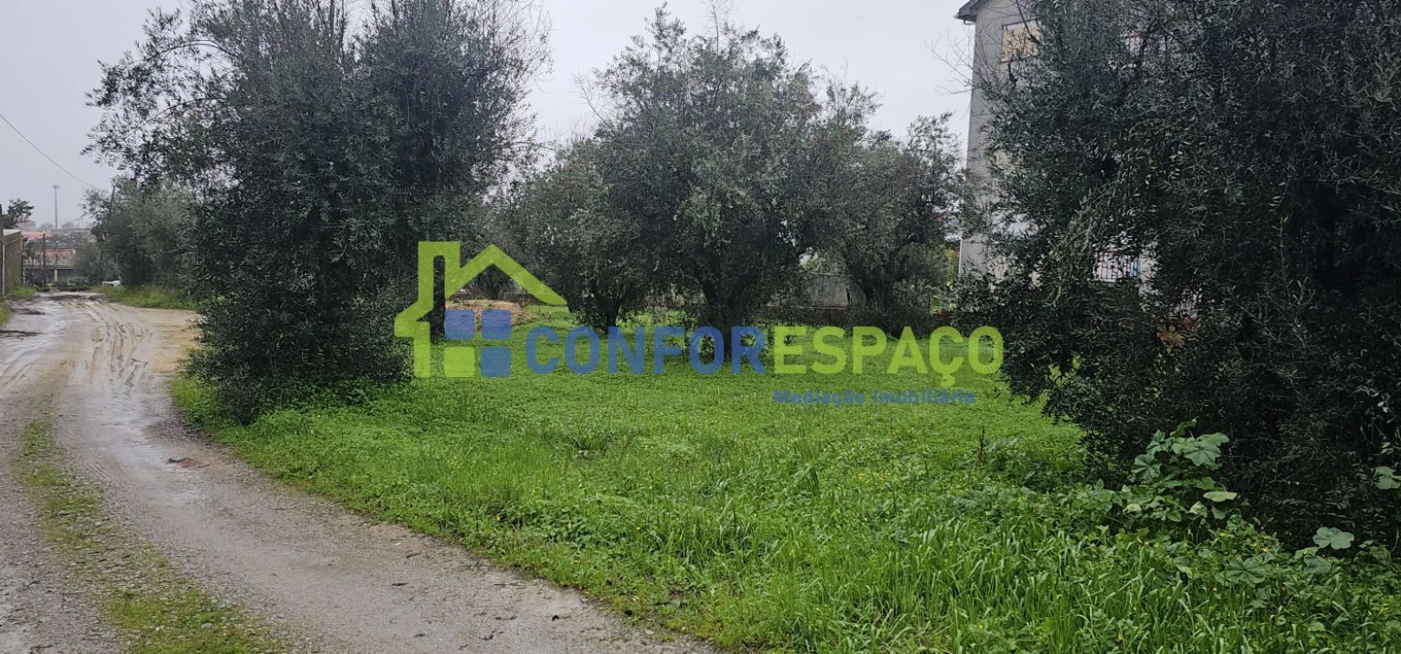 Quinta T6 para Venda em Salgueiro do Campo Foto 17