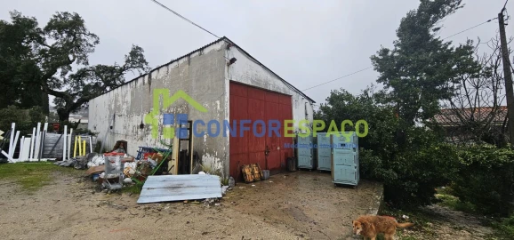 Quinta T6 para Venda em Salgueiro do Campo