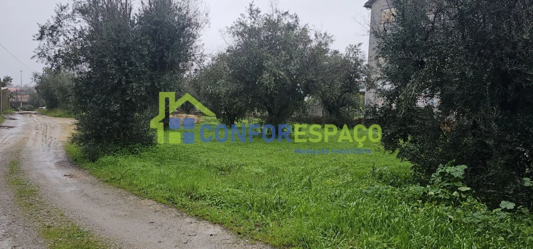 Quinta T6 para Venda em Salgueiro do Campo Foto 17