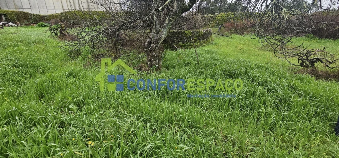 Quinta T6 para Venda em Salgueiro do Campo Foto 11