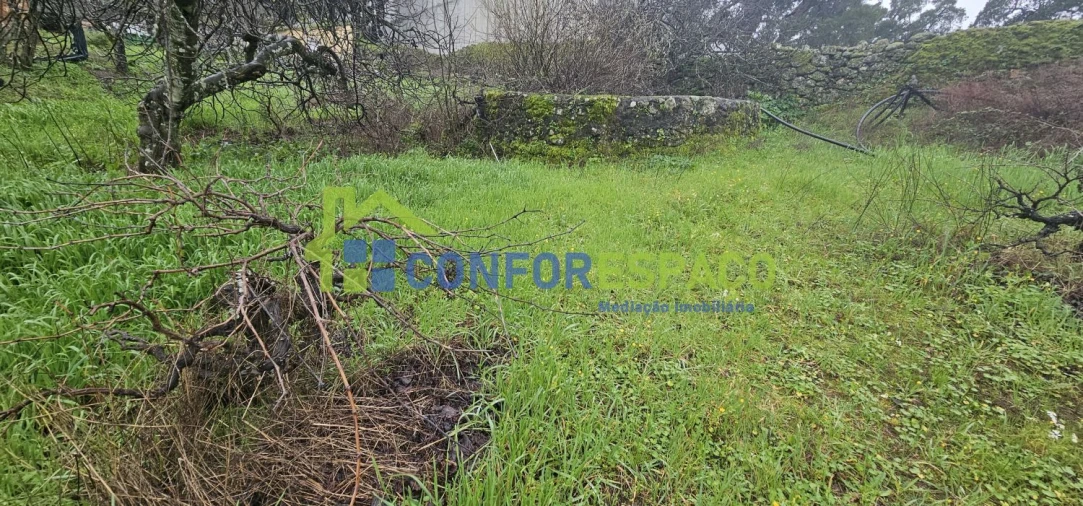 Quinta T6 para Venda em Salgueiro do Campo Foto 12