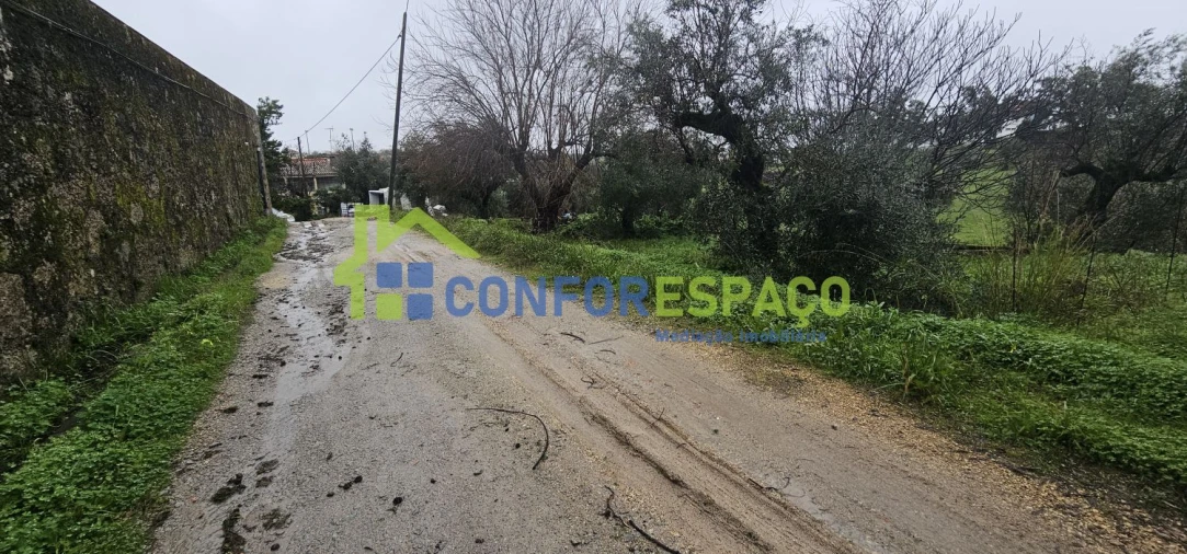 Quinta T6 para Venda em Salgueiro do Campo Foto 14