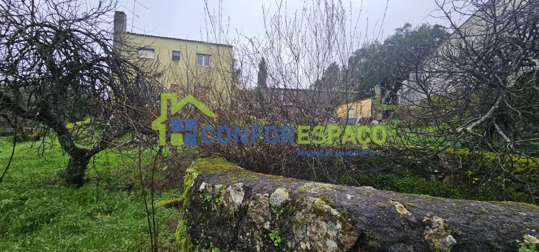 Quinta T6 para Venda em Salgueiro do Campo Foto 5