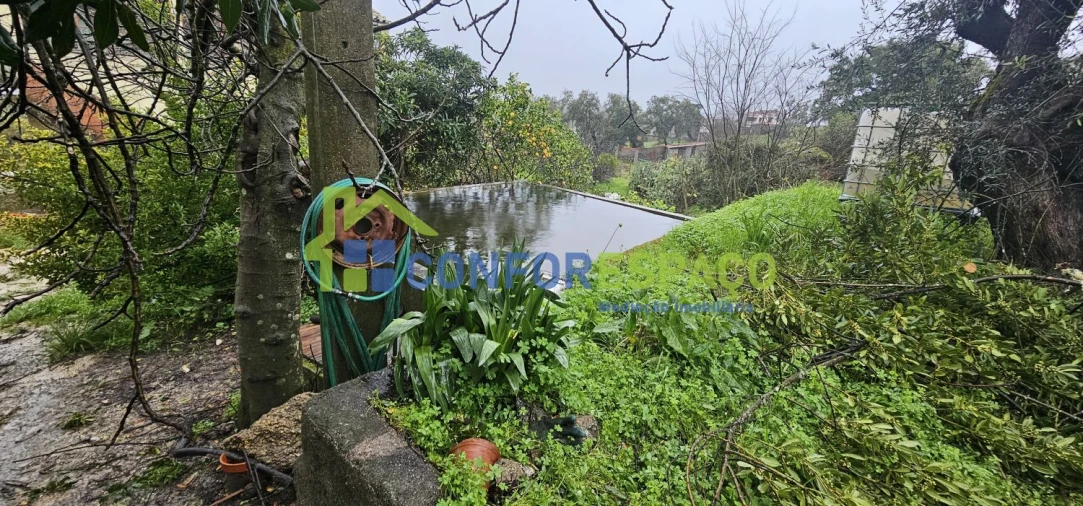 Quinta T6 para Venda em Salgueiro do Campo Foto 9