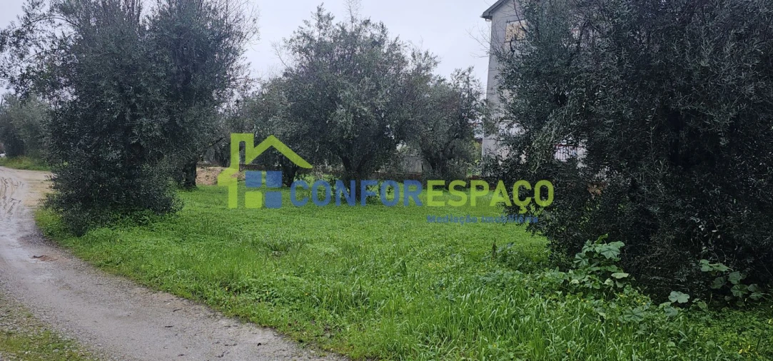 Quinta T6 para Venda em Salgueiro do Campo Foto 16